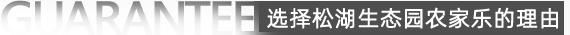 選擇東莞松湖生態(tài)園農(nóng)家樂(lè)旅游理由