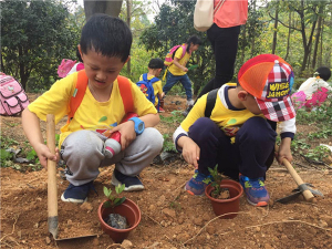 親子互動游戲——種花兒