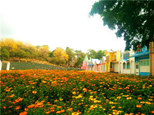 漫步百花叢 暢享東莞農家樂 松湖生態(tài)園夢幻之旅